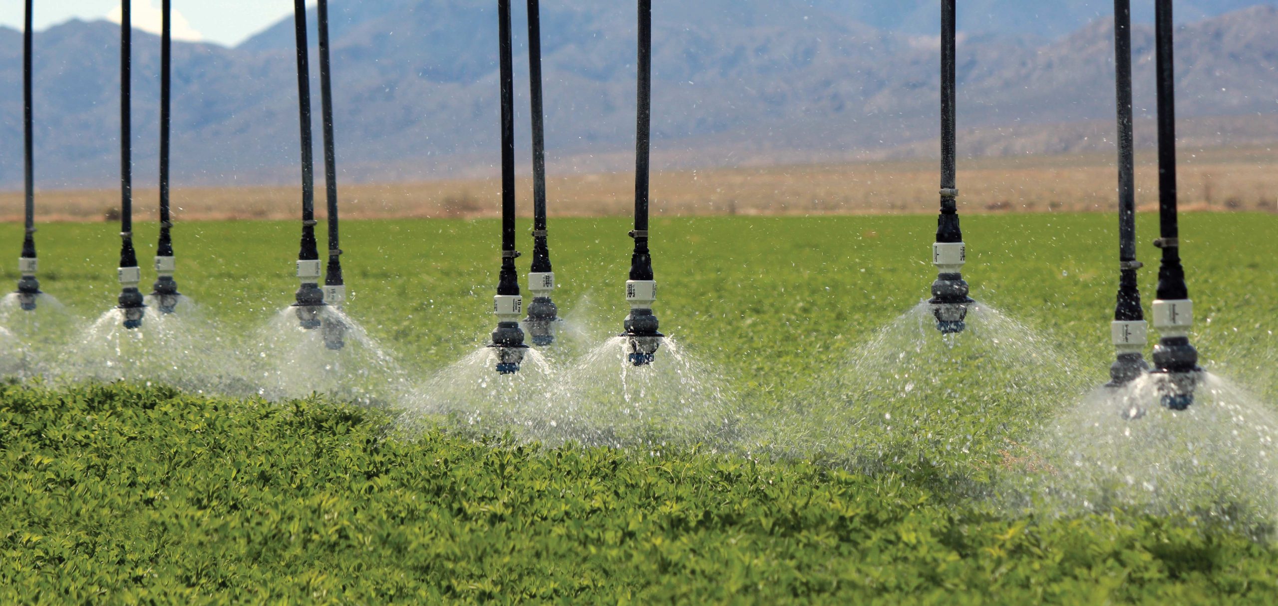 Irrigation System in Dubai